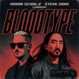 ROBIN SCHULZ X STEVE AOKI FEAT. LAWRENT - BLOODTYPE